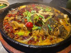 -老板恋上鱼(恒隆广场店)