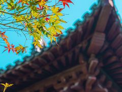 -慧因高丽寺