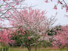 -风云岭森林公园