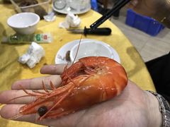 -蚝专家(北滘店)