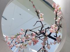 -蜜桃餐厅·伴山(绿宝广场店)