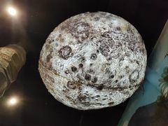 -辽宁古生物博物馆