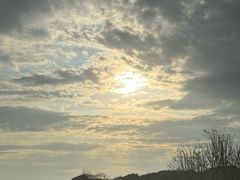 -香雪海