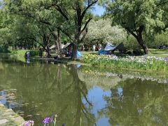 -上海共青森林公园