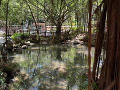 -七仙岭君澜度假酒店
