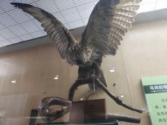 -陕西自然博物馆