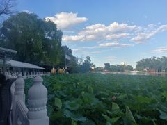 -小王府(什刹海店)