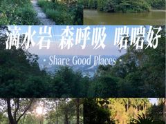 -滴水岩森林公园