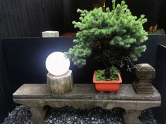 -觀芷隐轩