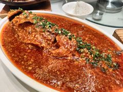 -芙蓉凰花园酒楼