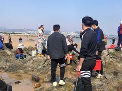 -巧克力渔家.小船海鲜胶东菜(万平口店)