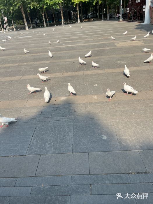 齐文化博物馆图片