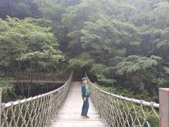 -陕西省红河谷森林公园