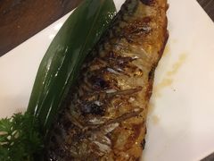 烤青花鱼-东京屋(武定路店)