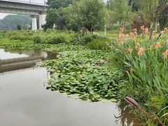 -周立波故居
