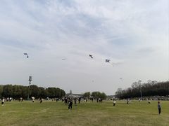 -羊山湖公园