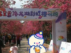 -洛龙公园