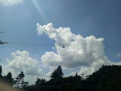 -梦幻奥陶纪景区