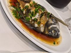 -金海湾海鲜排档(朱家尖店)