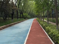 -大兴滨河森林公园