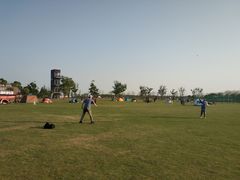 -春花秋色城市公园