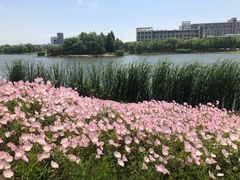 -江南大学(蠡湖校区)