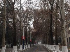 -西北农林科技大学(北校区)