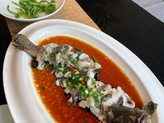 黑松露龙腾蒸活龙胆斑-梧桐花园餐厅(新城店)