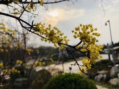-西安汉城湖景区