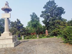 -洛阳古墓博物馆