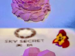-天玑高空江景餐厅&酒吧Sky Secret Restaurant&Bar