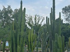 -东莞植物园