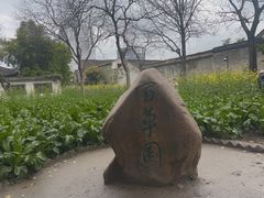 -绍兴鲁迅故里·沈园景区