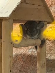 -酷嗒动物文化乐园(cutezoo西溪乐天城店)