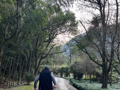 -黄公望隐居地