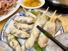 -金砂阿洲鱼册店