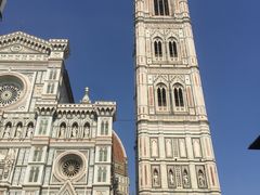 -圣母百花大教堂穹顶