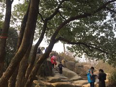 -灵岩山风景区