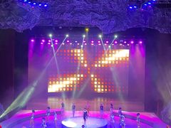-重庆国际马戏城