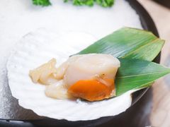 -汤城·料青山