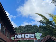 -野象谷景区