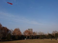 -达活泉公园