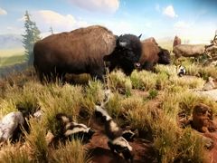 -陕西自然博物馆