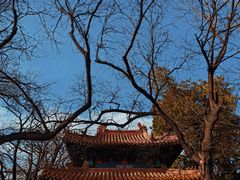 -北京国子监胡同