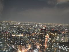 -东京都厅舍