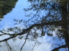 -宁波五龙潭景区