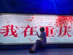 -重庆欢乐海底世界