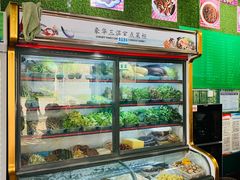 -绿草墩