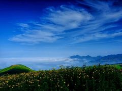 -乌蒙大草原