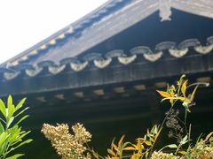 -常熟方塔园